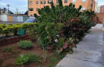Venda - apartamento - conjunto habitacional roberto romano - santa bárbara d'oeste - sp