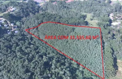 Área à venda, 0.00 m2 por r$250000.00  - boichininga - almirante tamandare/pr