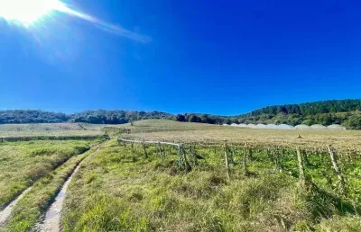 Área à venda, 51831.00 m2 por r$900000.00  - aguas fervidas - colombo/pr