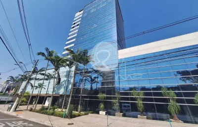 Sala para locação no cambuí, em campinas - alto padrão