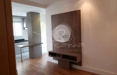 Apartamento para locação no cambuí em campinas r$2600,00 - façanha imóveis campinas