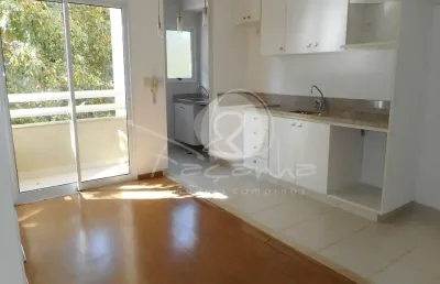 Apartamento para locação no cambuí em campinas -  imobiliária em campinas