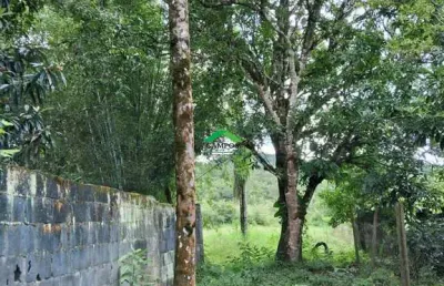 Terreno à venda em monsenhor horta, mariana  por r$ 190.000