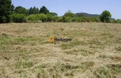 Terreno à venda diácono joão luiz pozzobon santa maria/rs