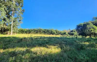 Terreno à venda na Rua Padre José Bugatti, Colônia Dona LuÍza, Ponta Grossa