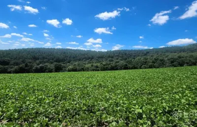 Chácara / sítio à venda no Centro, Prudentópolis 