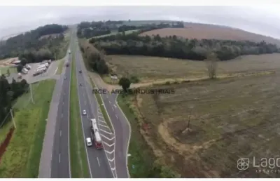Terreno à venda na Rodovia BR-376, Cará-cará, Ponta Grossa