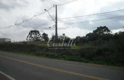 Terreno à venda, jardim carvalho, ponta grossa - pr