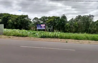 Terreno à venda na Avenida Visconde De Mauá Em Frente, 4300, Cará-cará, Ponta Grossa