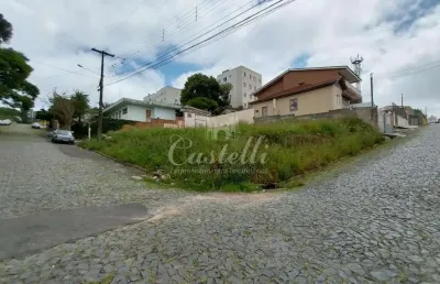Terreno à venda,366.52 m , ronda, ponta grossa - pr