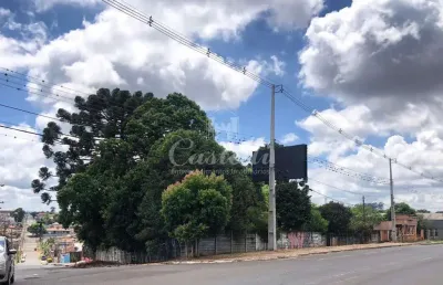 Excelente terreno na rua geraldo pellanda, esquina com a xv de setembro.