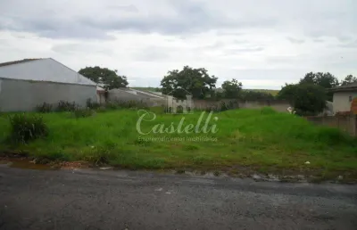 Terreno à venda, jardim carvalho, ponta grossa - pr