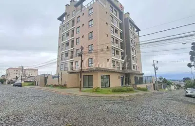 Apartamento à venda, jardim carvalho, ponta grossa - pr
