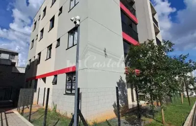 Apartamento para locação, colonia dona luiza, ponta grossa - pr