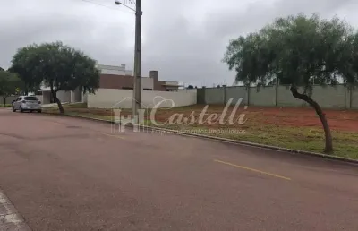 Terreno,300.00 m , jardim carvalho, ponta grossa - pr