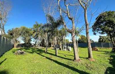 Terreno à venda, colonia dona luiza, em ponta grossa - pr