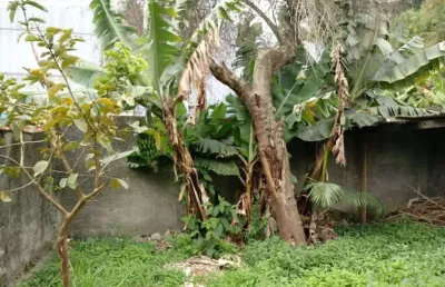 Terreno residencial à venda, vila noêmia, mauá - te0184.