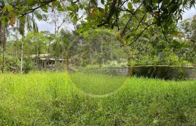 Fazenda à venda no Centro, Itanhaém 