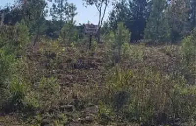 Terreno à venda no São Luiz, Caxias do Sul 