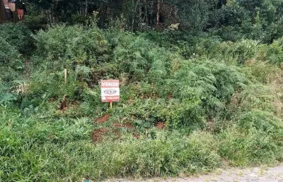 Terreno à venda no Santa Catarina, Caxias do Sul 