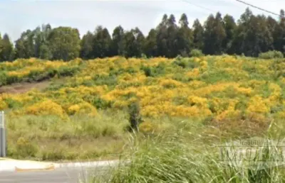 Terreno à venda no Monte Pasqual, Farroupilha 