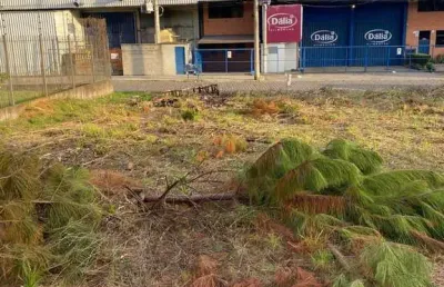 Terreno à venda no Santa Catarina, Caxias do Sul 