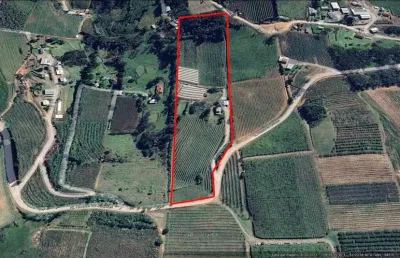 Chácara / sítio à venda no São Luiz, Farroupilha 