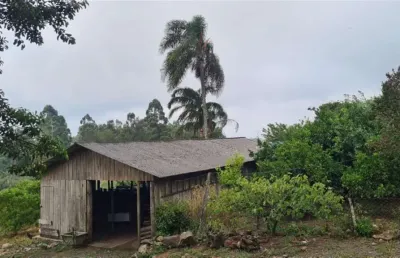 Chácara / sítio à venda no Nova Sardenha (Distrito), Farroupilha 