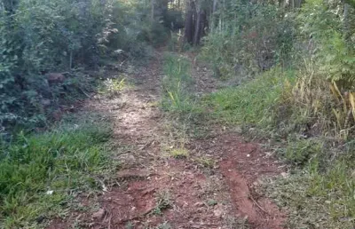 Chácara / sítio com 3 quartos à venda na Zona Rural, Farroupilha 