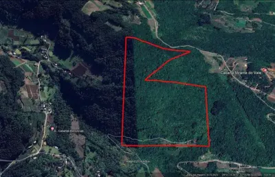 Chácara / sítio à venda na Zona Rural, Alto Feliz 