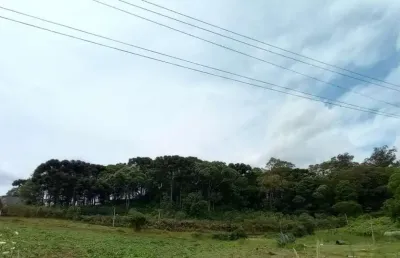 Terreno à venda no Pedancino, Caxias do Sul 