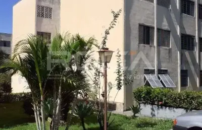 Lindos apartamentos à venda e locação na vila virgínia, ribeirão preto