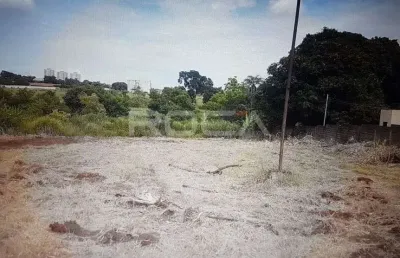 Venda de terreno / padrão na cidade de ribeirão preto