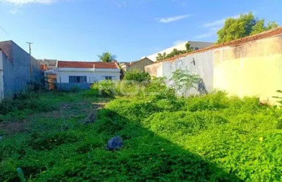 Terreno padrão à venda no jardim sumaré, ribeirão preto