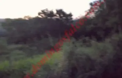 Fazenda à venda no Iate Clube de Campinas, Americana 
