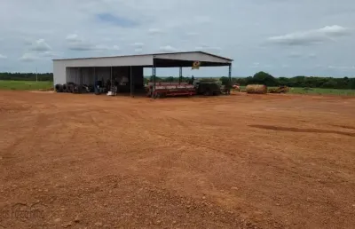 Fazenda à venda na Zona Rural, Pedro Afonso 