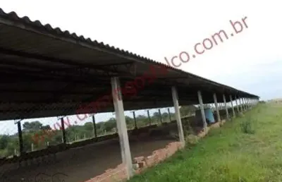 Fazenda à venda no Loiolas, Limeira 