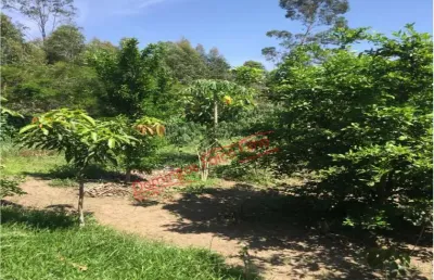 Chácara / sítio à venda na Graminha, São Pedro 