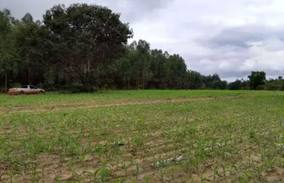 Fazenda à venda na Zona Rural, São Gonçalo do Pará 