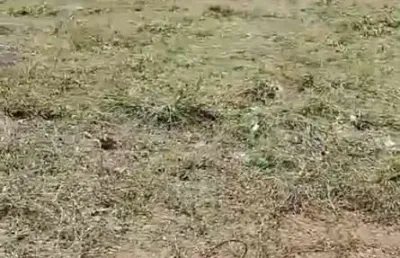 Fazenda à venda no Jardim Flamboyant, Mogi Mirim 