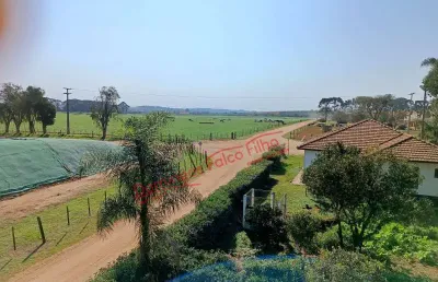 Fazenda à venda no Áreal Rural de Castro, Castro 