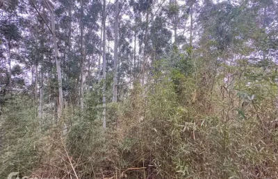 Terreno em condomínio fechado à venda na avenida andradina, 388, residencial tamboré, barueri por r$ 3.200.000