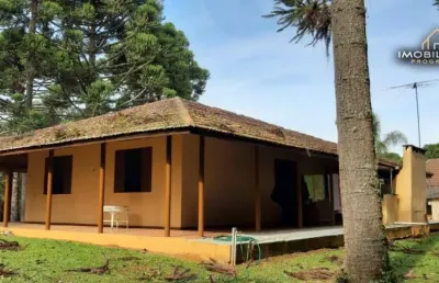 Chácara com 3 dormitórios à venda, 161053 m² por r$ 2.200.000,00 - fragosos - campo alegre/sc
