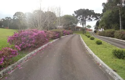 Terreno à venda, 116000 m² por r$ 7.800.000,00 - jardim diamante - campina grande do sul/pr