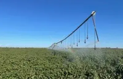 Fazenda altamente produtiva com mais de 1000 alqueires a venda  em goiás
