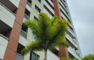 Apartamento com 2 quartos à venda na Rua Professor Samuel Benchimol, 543, Parque 10 de Novembro, Manaus