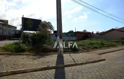 Terreno à venda, 431 m² por r$ 2.000.000,00 - praia de armação - penha/sc
