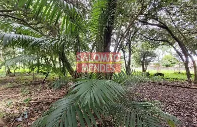 Terreno à venda/locação 35000m², rodovia do tapanã px a augusto mointeegro