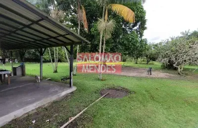 Terreno à venda/locação 35000m², rodovia do tapanã px a augusto mointeegro