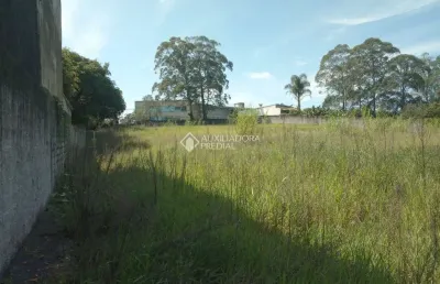 Terreno à venda na Estrada dos Casa, Alvarenga, São Bernardo do Campo